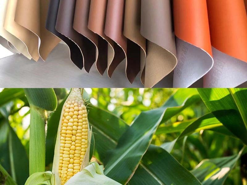 Corn-leather
